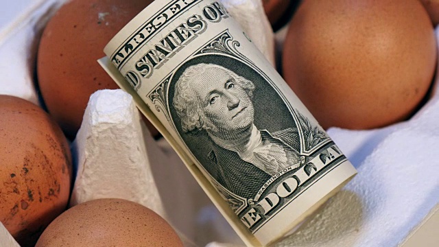 美元在一个天然的新鲜鸡蛋包装视频素材