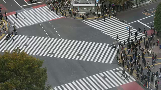 穿过涩谷路口的人群视频素材
