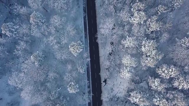 在雪域上的空中公路旅行视频下载