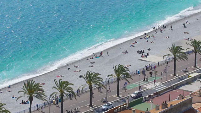 美丽的海滨，棕榈树铺成的道路和休闲度假的人们视频下载