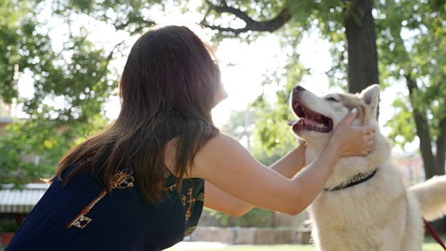 宠物有乐趣附近女主人在露天，主人抚摸和拥抱他的哈士奇狗在公园视频下载