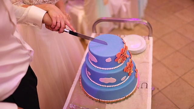 一位新娘和一位新郎正在切他们的结婚蛋糕视频下载