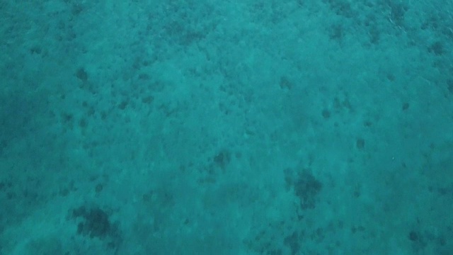 空中垂直/海洋，珊瑚礁视频下载