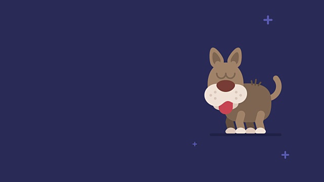 狗和闪烁的星星有趣的动物字符中国星象视频素材