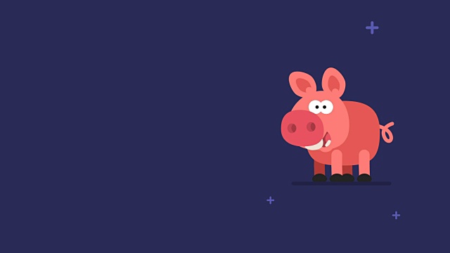 猪和闪烁的星星有趣的动物字符中国星象视频素材