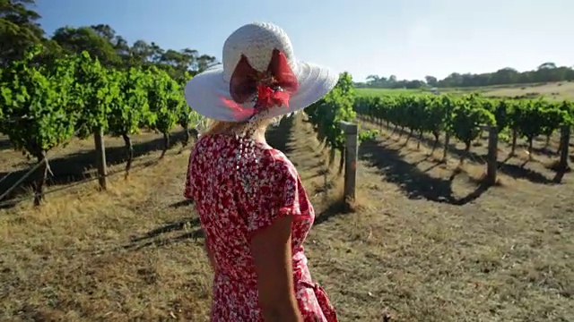 葡萄园的女性农民视频素材