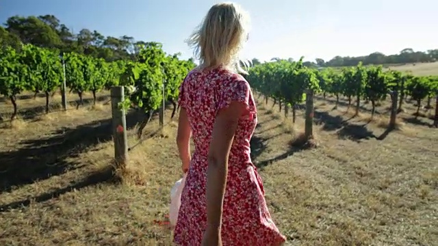 澳大利亚葡萄园的农民视频素材