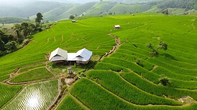 稻田梯田，山地农业用地。视频下载
