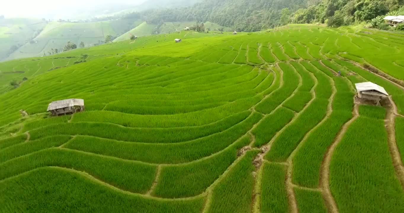 稻田梯田，山地农业用地。视频下载