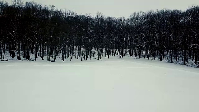 冬季森林。天线。无人机镜头冰雪冬天森林空中。视频下载
