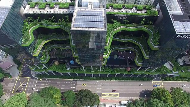 上方俯瞰皮克林皇家公园的绿色阳台，新加坡视频下载