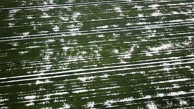 春季鸟瞰图中被雪覆盖的谷地。视频下载