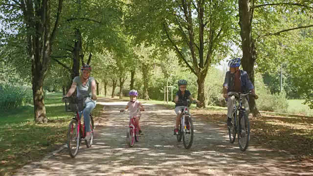 爷爷奶奶和孙子孙女在阳光明媚的公园里骑自行车视频素材