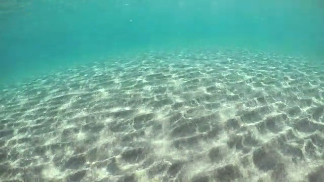 水下拍摄:清澈的海水，沙底视频下载