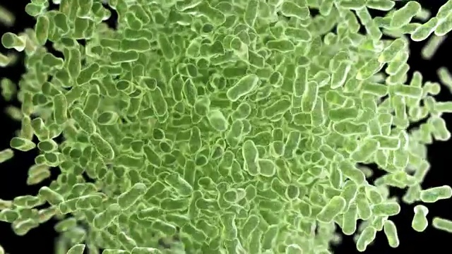 细菌生长，美丽的3d动画视频素材
