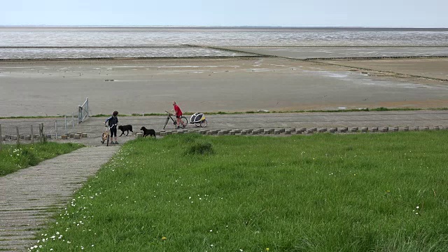 德国瓦登海低潮男子把狗从自行车拖车里放出来视频下载