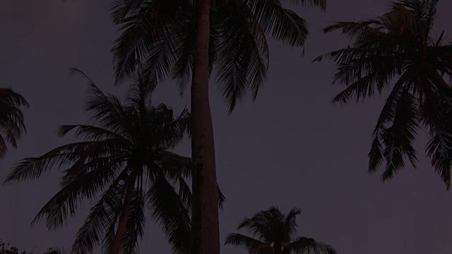 暴风雨的天空映衬着棕榈树的剪影。马尔代夫的视频视频下载