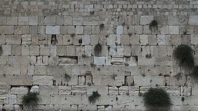 犹太人在哭墙里祈祷视频素材