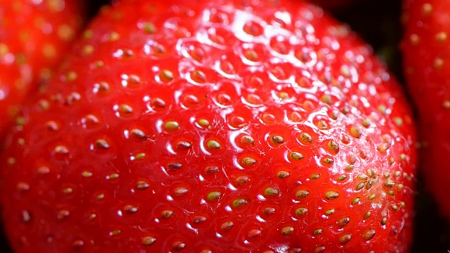 贝瑞花园草莓视频下载