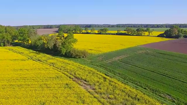 耕地和油菜籽田附近的鸟瞰图在地区Lüchow-Dannenberg在下萨克森州-德国视频下载