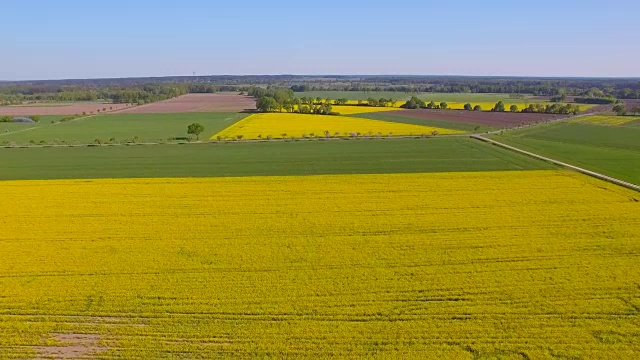 油菜田和易北河附近的耕地鸟瞰图在地区Lüchow-Dannenberg在下萨克森州-德国视频素材