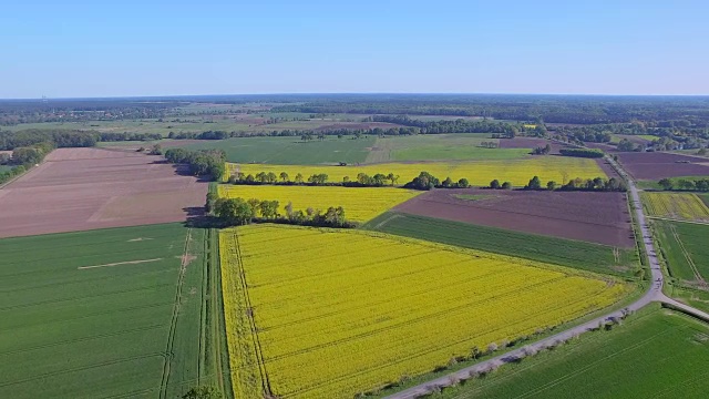 油菜田和易北河附近的耕地鸟瞰图在地区Lüchow-Dannenberg在下萨克森州-德国视频下载