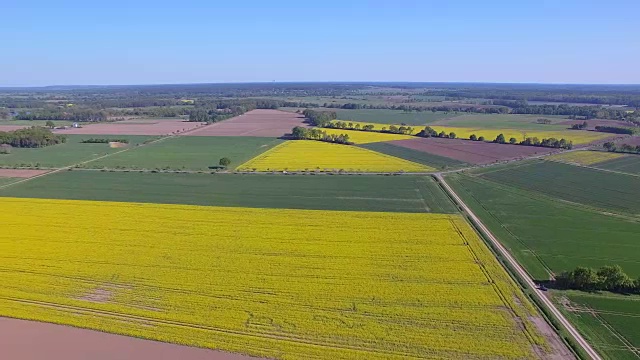 耕地和油菜籽田附近的鸟瞰图在地区Lüchow-Dannenberg在下萨克森州-德国视频素材