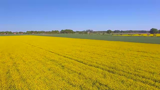 耕地和油菜籽田附近的鸟瞰图在地区Lüchow-Dannenberg在下萨克森州-德国视频下载