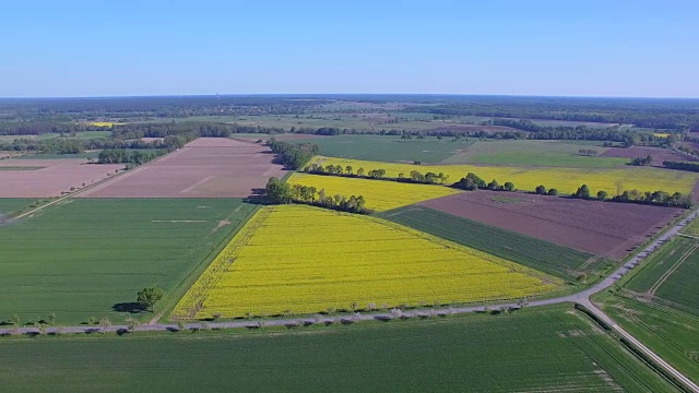 油菜田和易北河附近的耕地鸟瞰图在地区Lüchow-Dannenberg在下萨克森州-德国视频素材