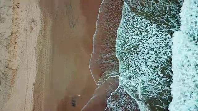 澳洲海浪图视频素材