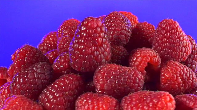 树莓孤立旋转在紫色的背景视频下载