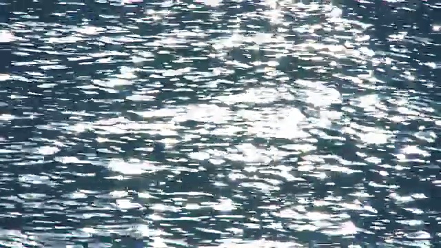 阳光在碧波荡漾的水面上闪烁视频素材