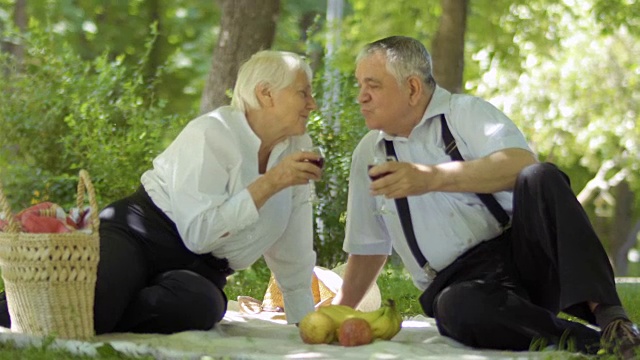一对可爱的老夫妇在公园野餐，喝红酒视频下载