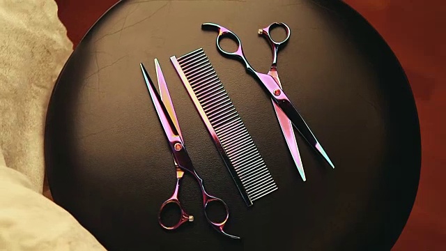 发型工具剪子工作室视频下载
