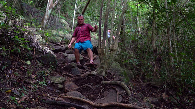一个人沿着树根从陡峭的山上下来视频下载