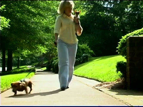 带着狗走在人行道上的女人视频素材