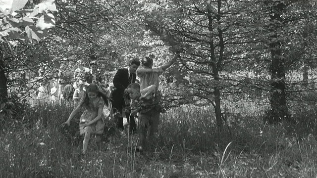 1950蒙太奇家庭在公园中散步和野餐/英国视频下载