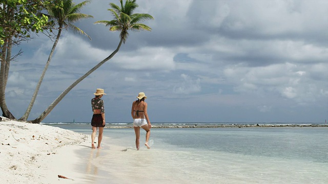 两个女人在海滩上散步视频下载