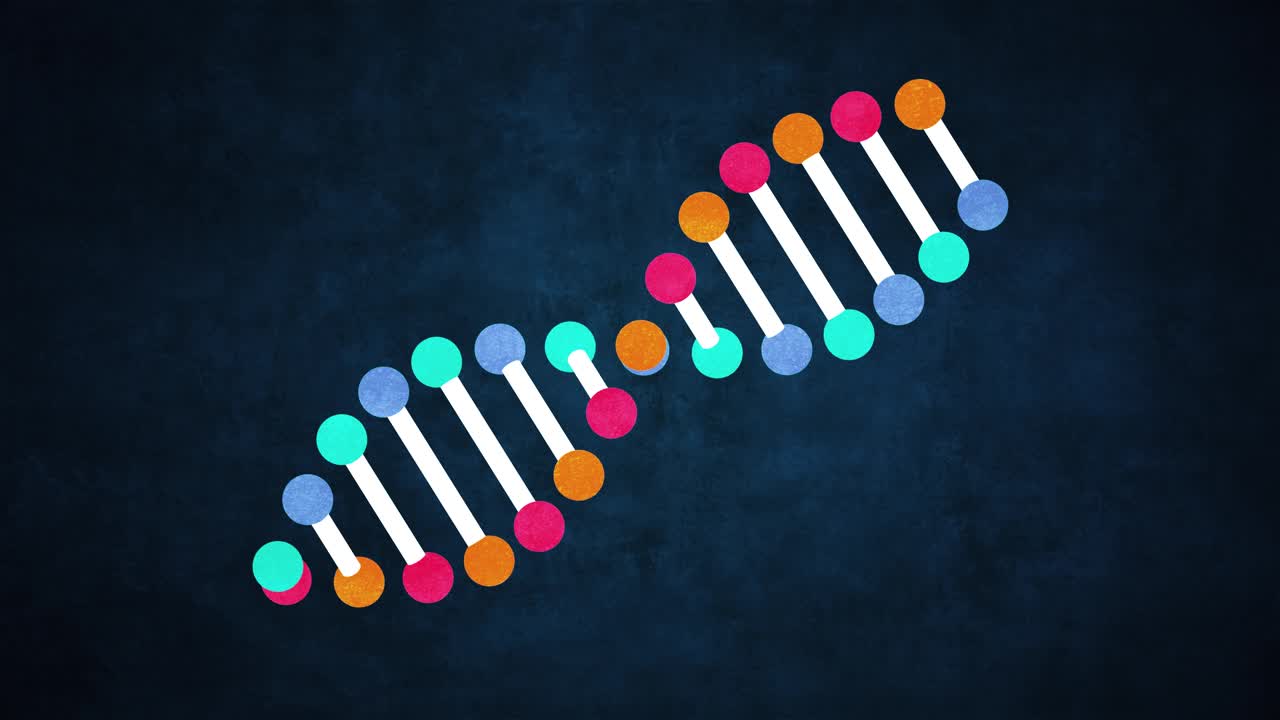 遗传DNA和RNA结构-腺嘌呤，胸腺嘧啶，鸟嘌呤，胞嘧啶视频下载