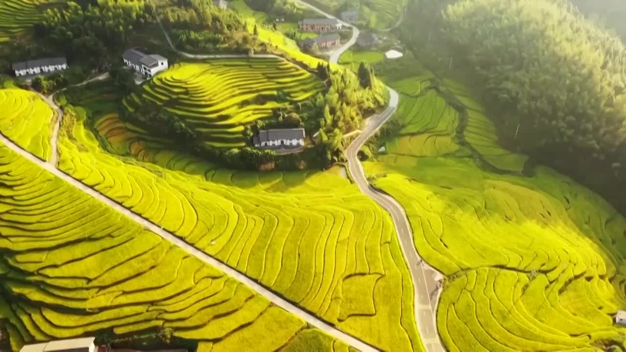 中国农村乡村振兴扶贫脱贫攻坚5G智慧农业发展建设成果（选编）视频素材
