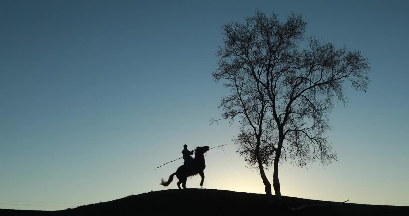 夕阳下的牧马人，一个人，一匹马，一棵树，日落下极简的画面，乌兰布统草原的风光视频素材