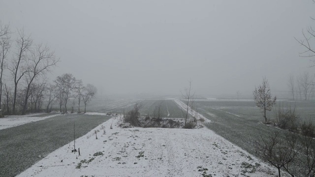 田野里逐渐累积的雪视频素材