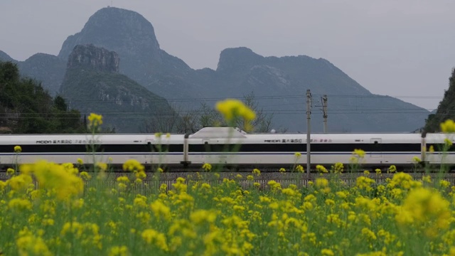 中国广西桂林2020年春天高铁动车穿越油菜花田4K60帧摄影视频素材