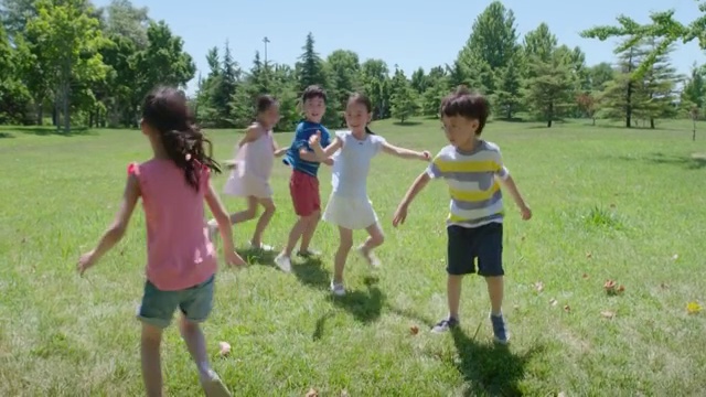 快乐儿童在草地玩耍视频素材
