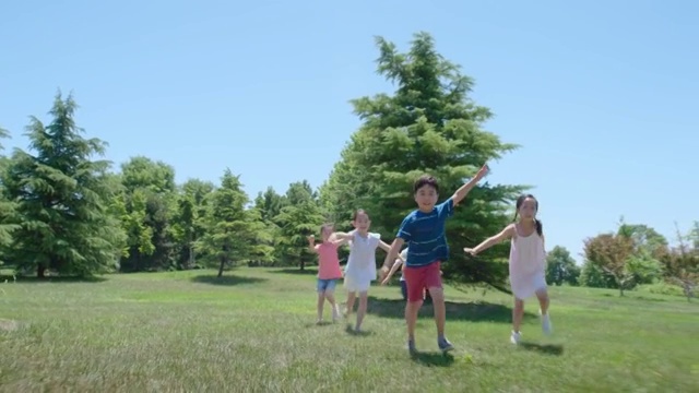 快乐儿童在草地玩耍视频素材