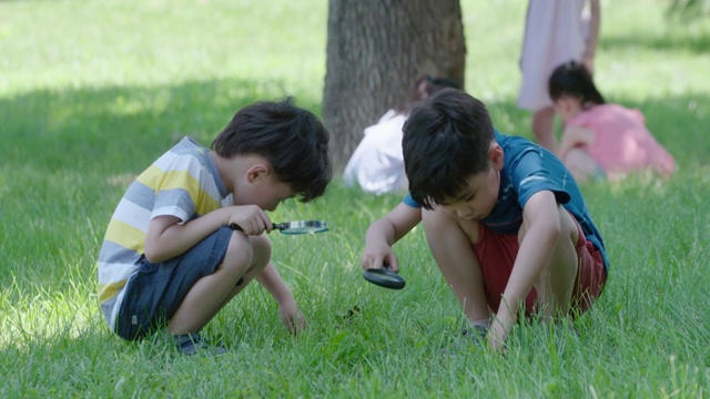快乐儿童在公园玩耍视频素材