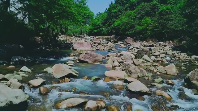 溪流视频素材