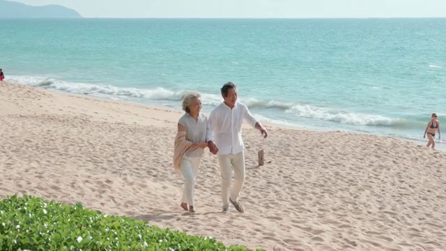 快乐的老年夫妇在沙滩散步视频素材
