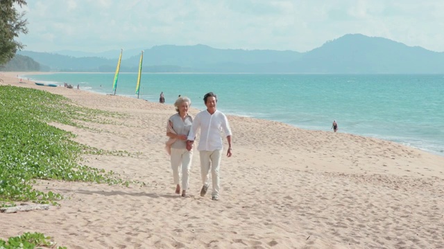 快乐的老年夫妇在沙滩散步视频素材