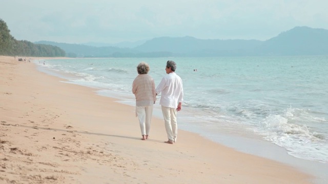 快乐老年夫妇在沙滩散步视频素材